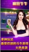 斗牛游戏网截图1