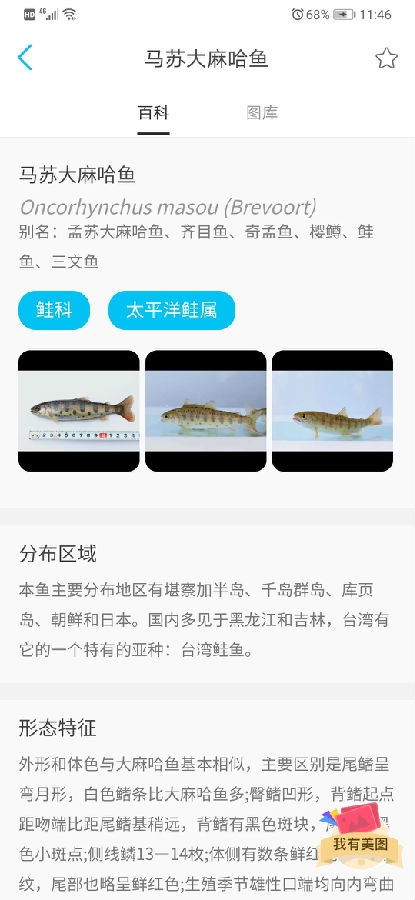 看鱼(拍照识鱼)