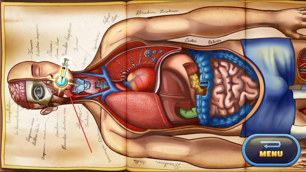 人体保卫战无敌版