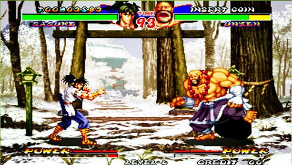 霸王忍法帖手机版截图3