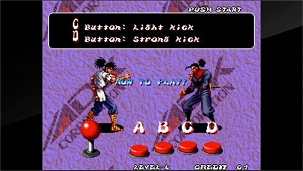 霸王忍法帖手机版截图2