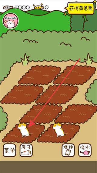 猫咪田园中文版