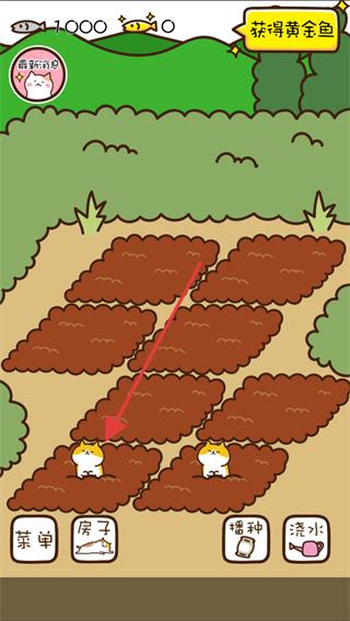 猫咪田园中文版