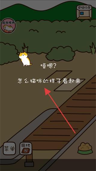 猫咪田园无限金币