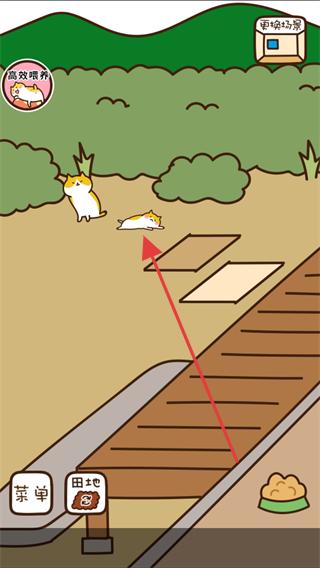 猫咪田园无限金币
