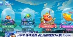 男子玩捕鱼小游戏输掉房子还负债